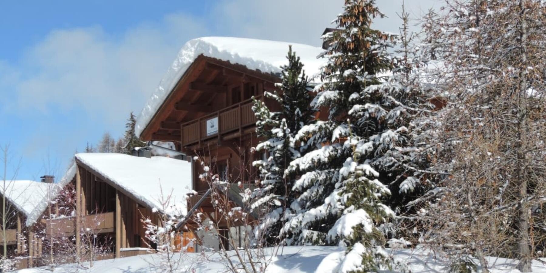 Chalet Sorbiers Exterior
